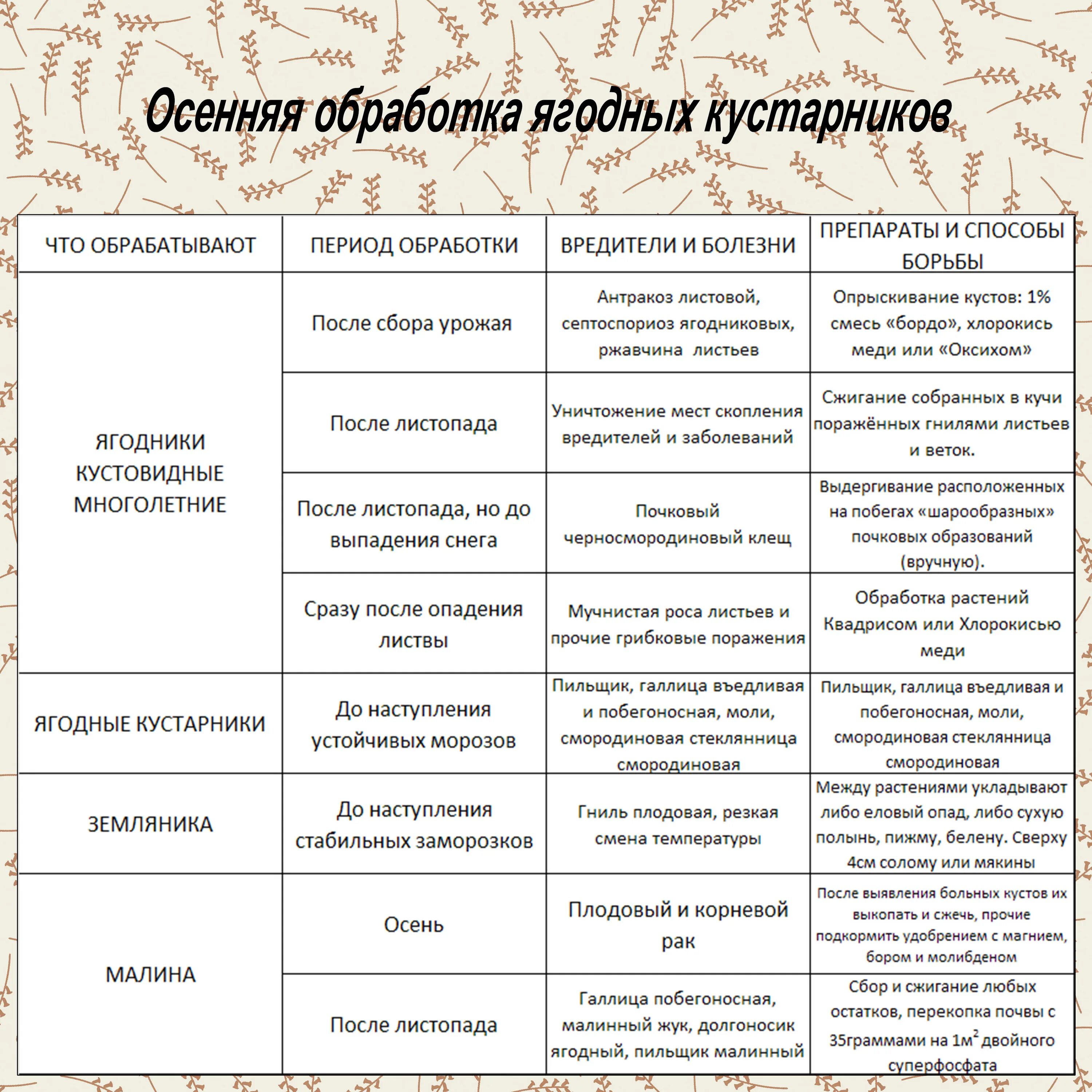 Чем обработать смородину после. Обработка плодовых деревьев и кустарников от вредителей и болезней. Обработка сада осенью от вредителей и болезней таблица. Обработка деревьев осенью от вредителей и болезней. Схема обработки плодовых деревьев от болезней.