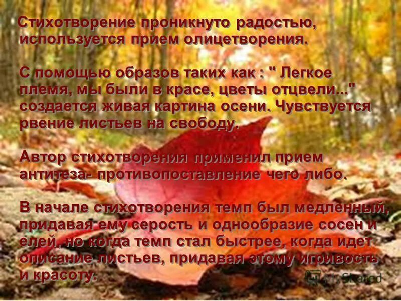сочинение по стихотворению листья. анализ стихотворения листок лермонтова. рассказ тютчева листья. сочинение на стих лермонтова листок. стих ф тютчева листья.