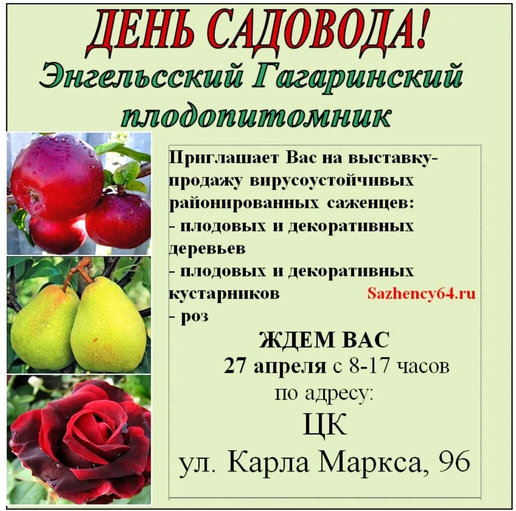 Питомник гагаринский в энгельсе каталог цены. Энгельсский Гагаринский Плодопитомник. Питомник им Гагарина Энгельс. Энгельсский Гагаринский питомник плодовых саженцев. Питомник Гагаринский в Энгельсе каталог.