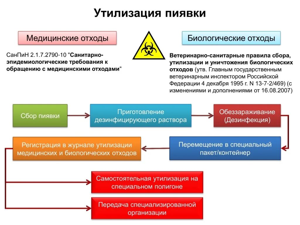 Насколько эффективно лечение. Как утилизировать пиявки медицинские. Утилизация медицинских отходов алгоритм. Утилизация пиявок в домашних условиях.