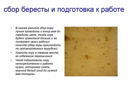 Виды обработки бересты