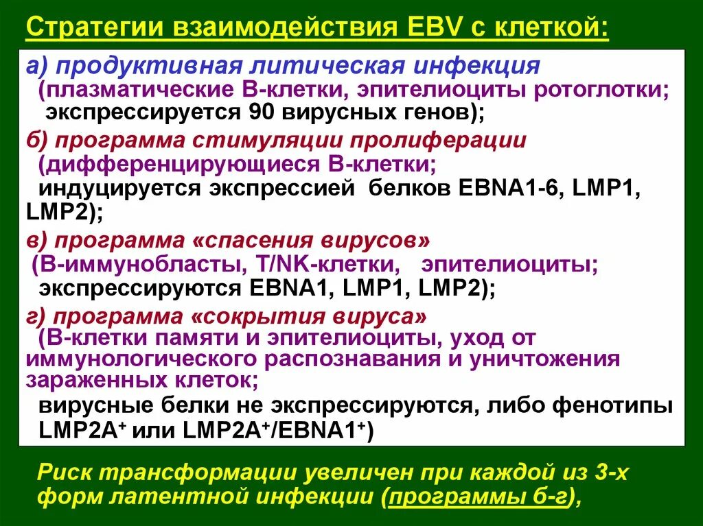 Инфекция программы. Литическая инфекция вируса. механизмы онкогенной трансформации клеток вирусами.. литическая инфекция примеры. онкогенная трансформация клеток.