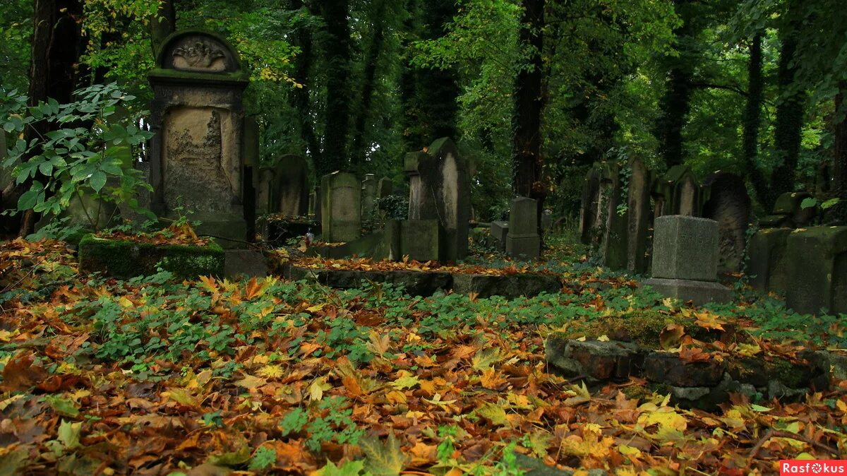 Старое кладбище. Красивое кладбище. Красивые старинные кладбища. Кладбище в России летом.