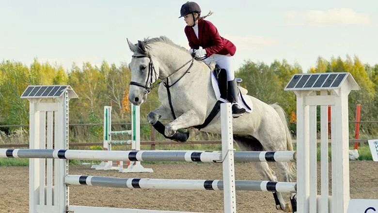 Конный спорт институт. КСК Святово. КСК Матадор Нагорное. Конный спорт. Кои спортивный клуб.