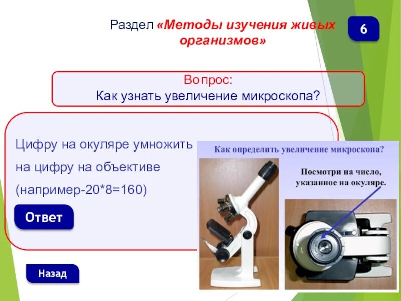 Как найти общее увеличение микроскопа. Увеличение окуляра и объектива у микроскопа. определение увеличения микроскопа. как определить увеличение микроскопа. как узнать увеличение микроскопа.