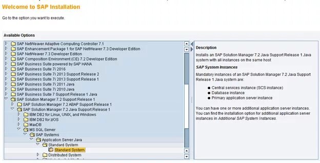 Sap 2. Saps 2. sap solution manager. картинки solution manager 7.2. перевод sap на java пример.