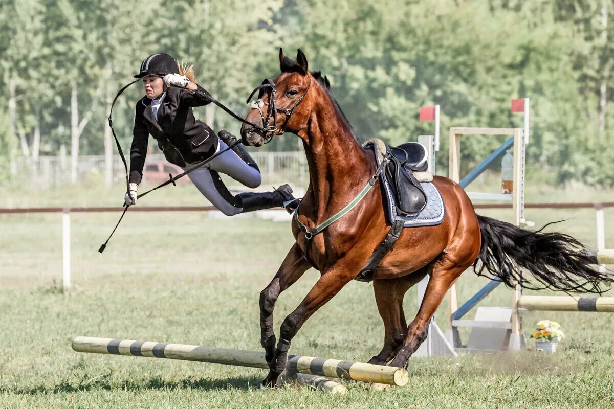 Выездка конный спорт. Конкур конный спорт. Через кск. Конный спорт. Всадники конный спорт конкур.