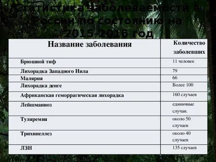 Работа тропик