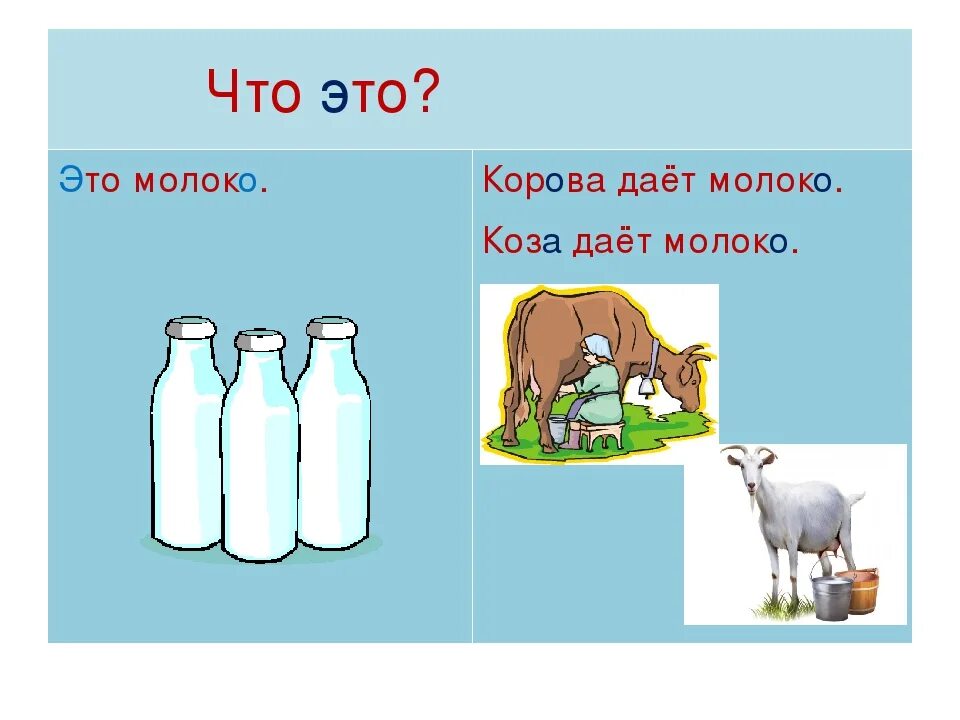 Сколько литров дает коза. Корова дает молоко. Корова дает молоко для детей. Коза дает молоко. Корова молоко коза молоко.