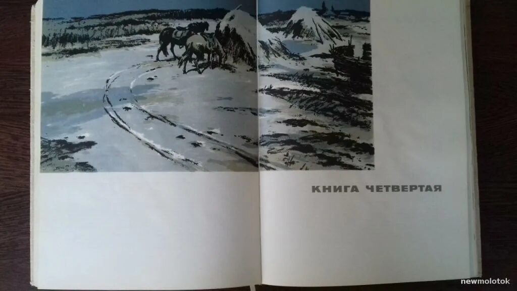 Книга 4 глава 8 тихий дон. Тихий Дон Ростовское книжное Издательство 1971. Тихий Дон 1971 года книга. Шолохов тихий Дон 1971 год молодая гвардия. Книга тихий Дон на аукцион.