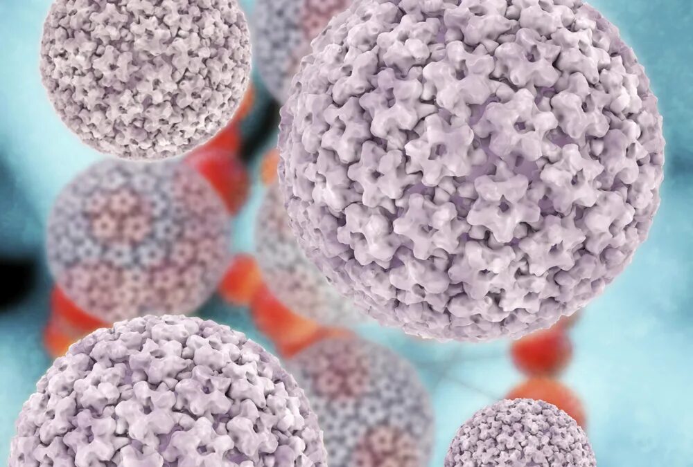 Попеломофирусная инфекции. Human papillomavirus 35 типа. Human papillomavirus 35 типа. Папилломавирусная инфекция (впч). Human papillomavirus 35 типа.
