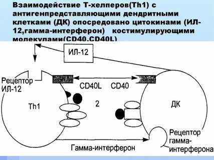 Опосредованно присоединенный