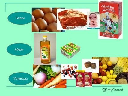 Тест биология 10 класс белки жиры углеводы