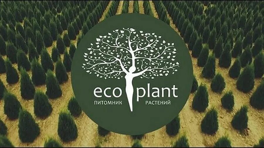 Eco plant. Реклама питомников растений. Экоплант. Экоплант питомник растений. Экоплант логотип без фона.