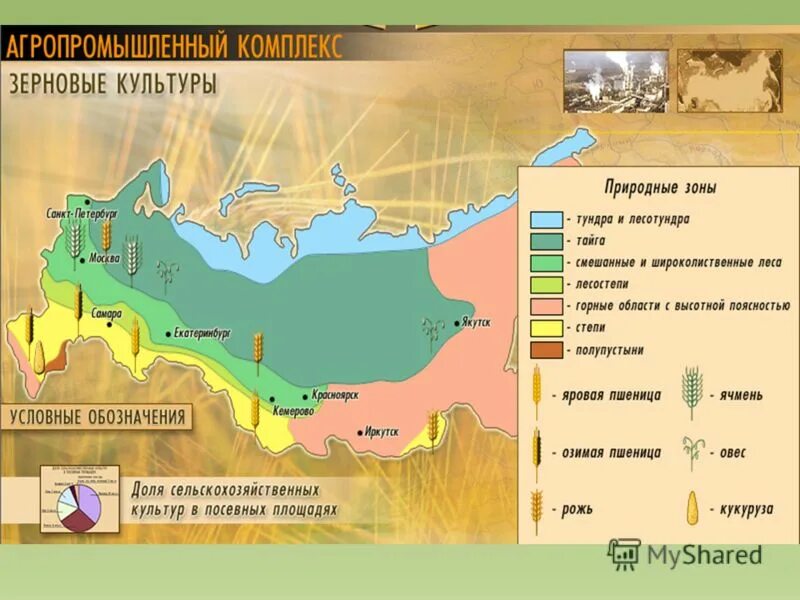 технология агропромышленного производства. агропромышленный комплекс 6 класс. центры агропромышленного комплекса в центрально-черноземном. агропромышленный комплекс 6 класс. агропромышленный комплекс россии.