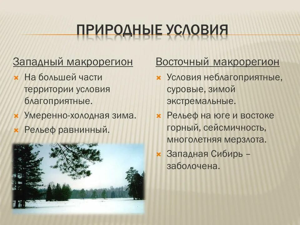 Природные условия. Природные условия и ресурсы восточного макрорегиона. Природные условия и ресурсы Западного макрорегиона. Западный макрорегион природные условия.