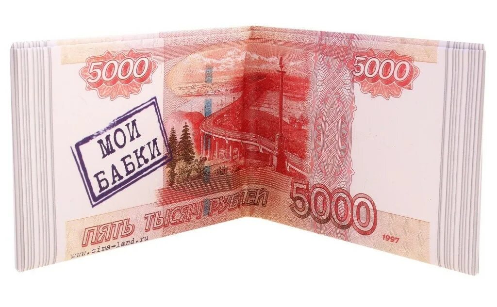 Две купюры 5000 рублей. Пятитысячниые кцупюбры. Миллион рублей пачка. Нужны деньги 5000. Деньги займ.