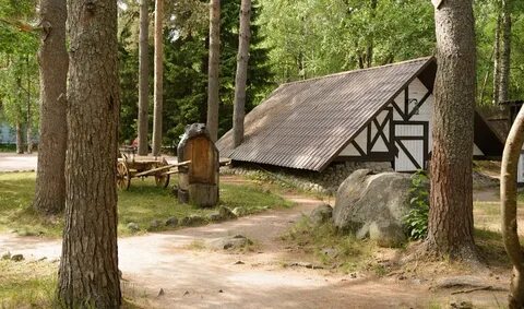 Добрый лось ленинградская область