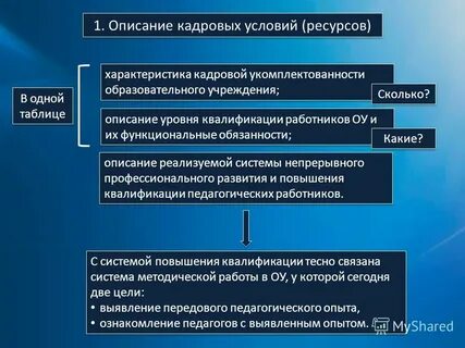 Описание кадровой работы
