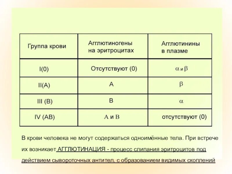 Агглютиноген 1 группы. Учение о группах крови и резус факторе. учение о группах крови агглютиногены. таблица по группам крови агглютиногены и агглютинины. агглютиноген в эритроцитах группы крови.