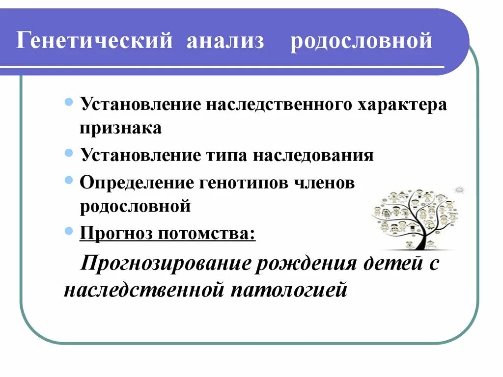 Проверить генетику. Генетический анализ родословных.. Генетическое исследование родителей. Результаты генетики. Анализ генетики детей.