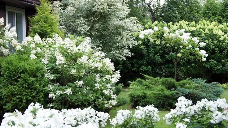 Белый сад ландшафтный дизайн outdoor living White gardens, Beautiful gardens, Garden design