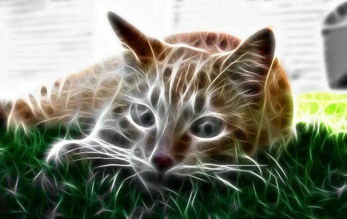 Картинки 3д животные Download Siberian Tiger Live 3D Wallpaper