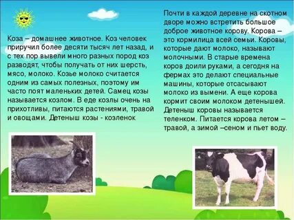 Доклад о животном 3 класс окружающий мир