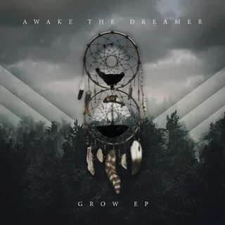 Awakening dreams