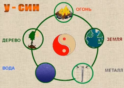 5 элементов человека. Круг у-син 5 элементов. У-син цикл порождения. Теория у син пяти элементов. Схема пяти первоэлементов.