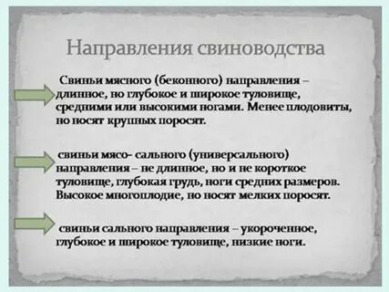 Универсальный направления