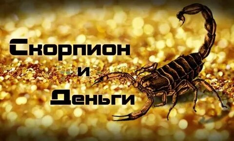 Скорпионы финансовый