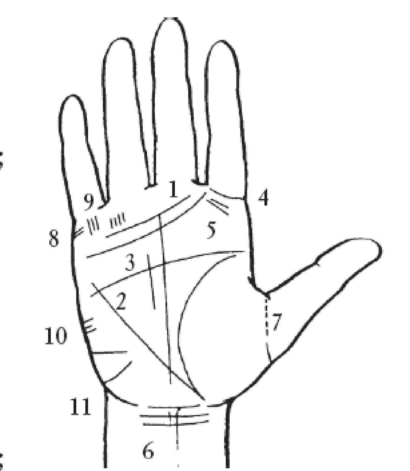 Хиромантия любовь. Хиромантия линия любви на руке. Линия интуиции. Линия привязанности на ладони. Линия интуиции на руке.