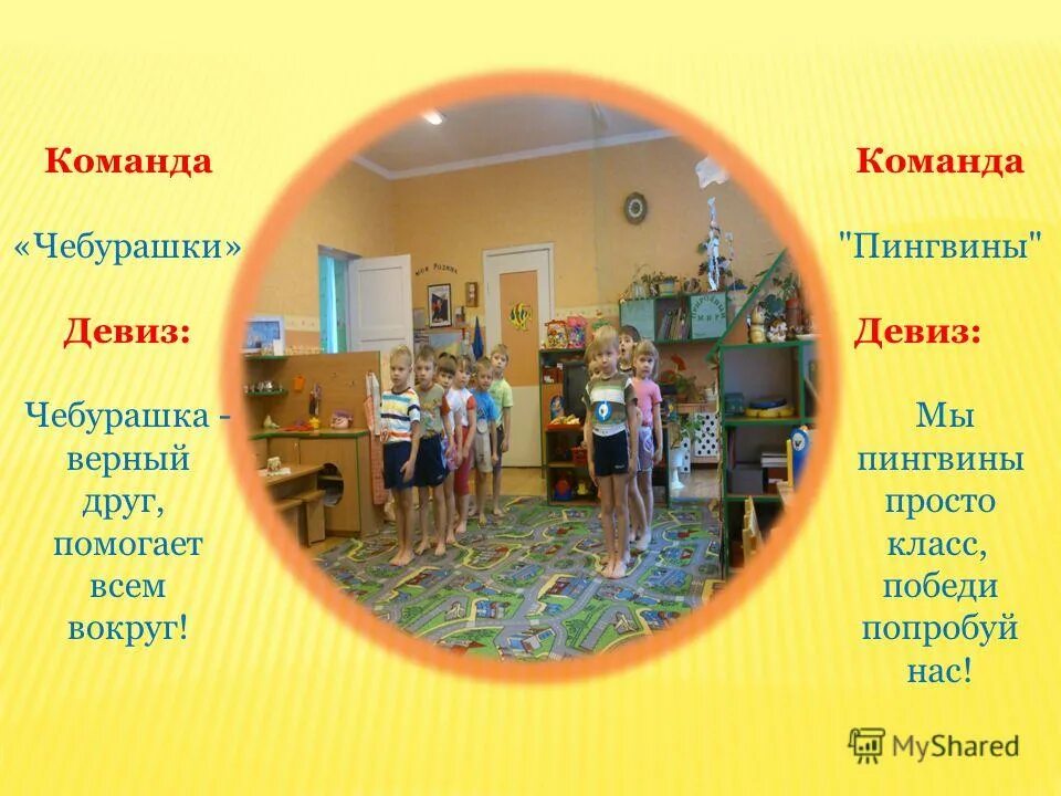 Девиз чебурашки. Девиз чебурашки