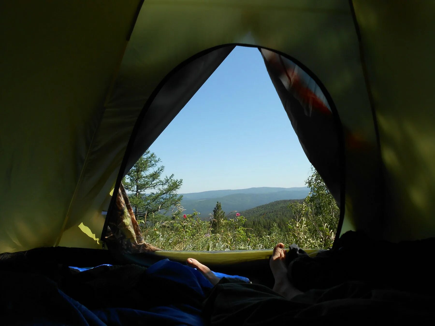 Палатка в квартире. Лос анджелес лагерь бомжей. Жить в палатке в городе. Палатка. Палаточные городки бездомных в сша.