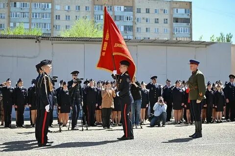 Войска волгограда