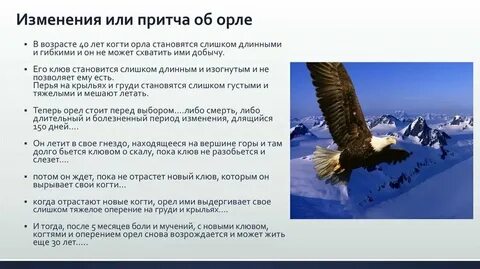 А когда будет орел