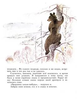 Пришвин медведь