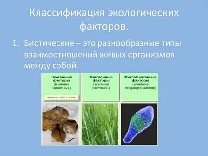 Что такое экологические признаки в биологии 5