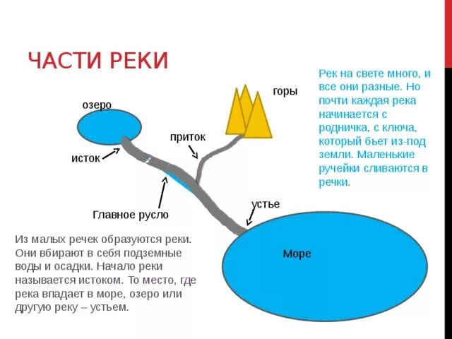 Части реки схема. Название частей реки. Составные части реки. Назови части реки. 12 части рек