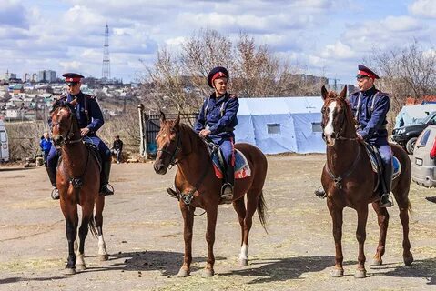 Погода в казачье