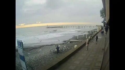 Веб камеры кукуруза на мамайке сочи пляж