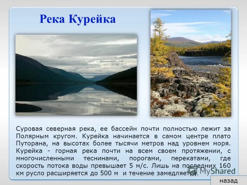 Протяженность реки тунгуска в красноярском крае. Река Курейка Красноярский край. Реки Красноярского края презентация. Река Курейка на карте Красноярского края. Крупнейшие реки Красноярского края.