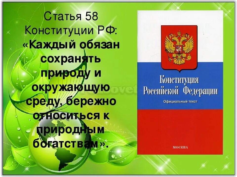 Конституция. Статья 58 Конституции. Конституция РФ. Конституция об охране окружающей среды.