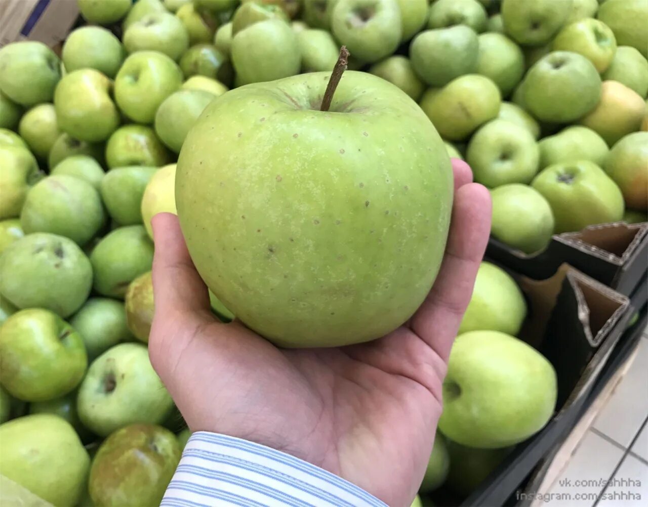 2 килограмм яблок. Кг яблок. Большие яблоки. Зеленые яблоки урожай. Яблоки зеленые.