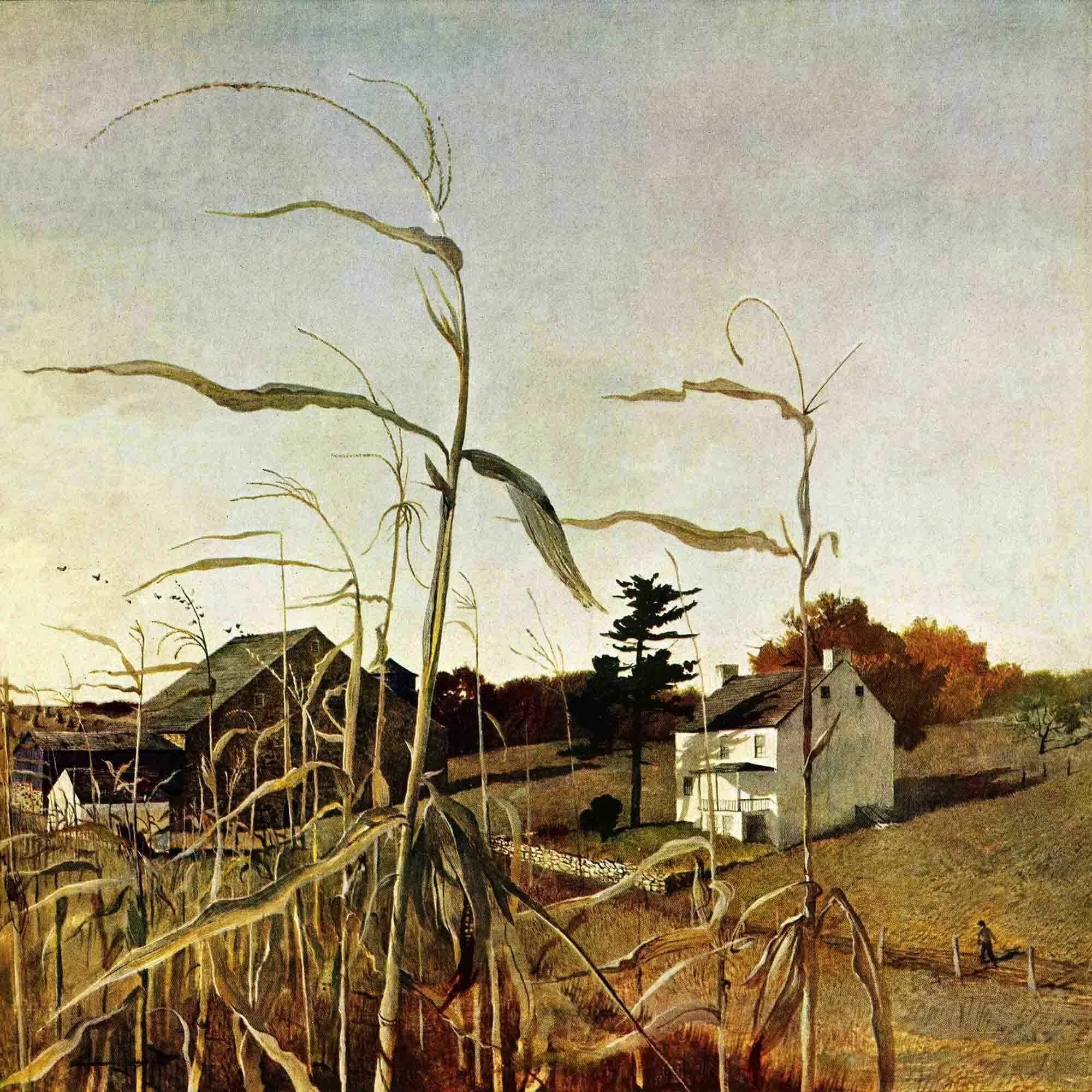 Картины эндрю. Andrew Wyeth. Уайет художник. Эндрю Уайет картины. Эндрю Ньюэлл Уайет художник.