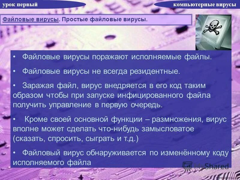 Файловый вирус всегда меняет длину файла. Файловые вирусы поражают. файловый вирус всегда.