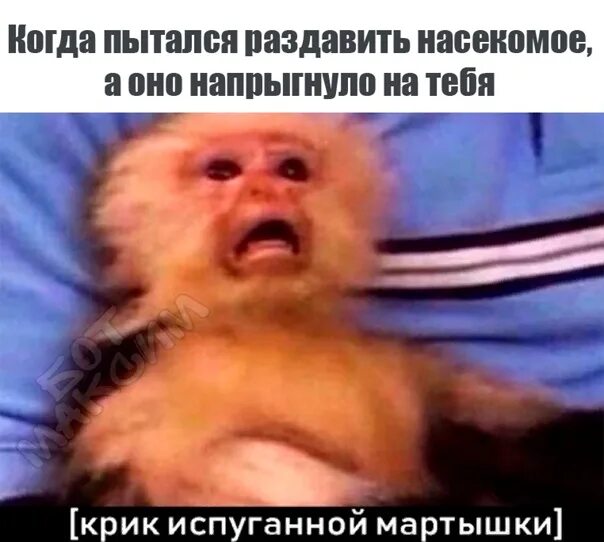 Громкий женский голос испугал меня запятая