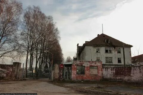 Корнево багратионовский