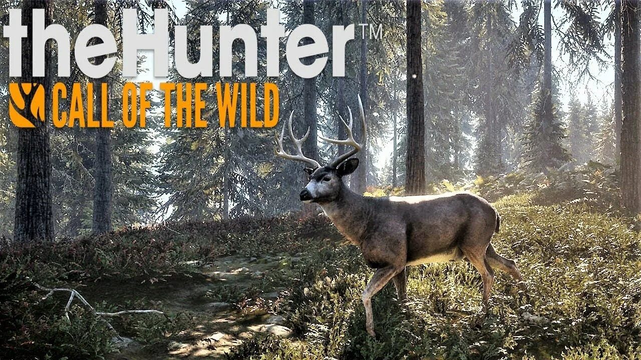 The Hunter Call of the Wild. The Hunter Call of the Wild собака. The Hunter Call of the охота. THEHUNTER: Call of the Wild превью. Зе хантер калл